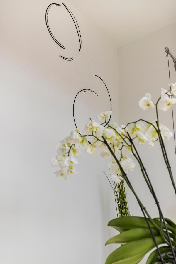 Apartament Vrijdagmarkt By Lit D'Art Antwerpia Zewnętrze zdjęcie